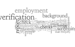 Background Verification IleadHR